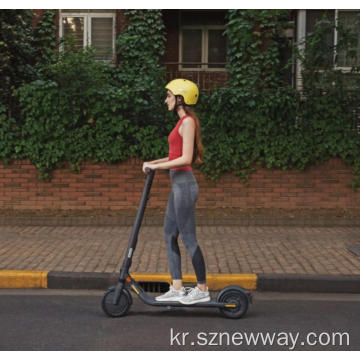 Ninebot Electric Scooter E25 업그레이드 모터 파워